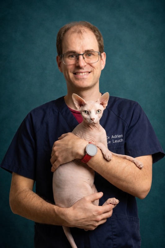 Dr Adrien Le Leuch, vétérinaire en médecine interne et cardiologie à la clinique Sancéa Vet, Saint-Julien-les-Villas près de Troyes